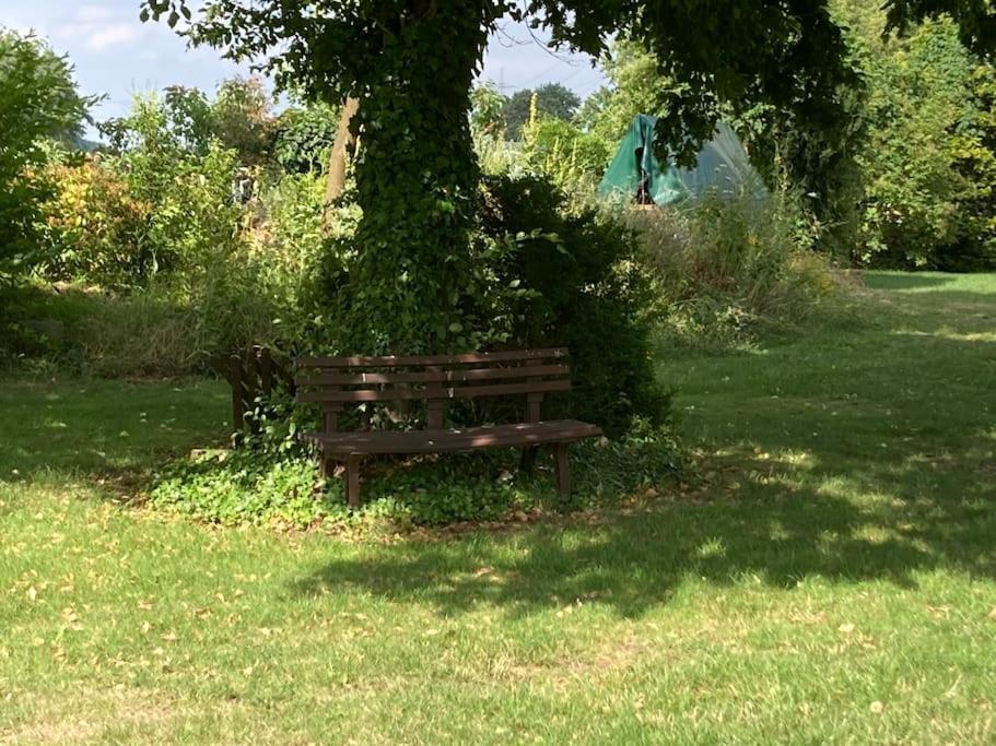 Helle Wohnung Mit Wintergarten - Nahe Ruhrgebiet Und Freizeitpark Movie Park Ботроп Экстерьер фото